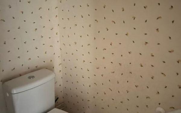 Appartement à vendre    5 pièces • 93,67 m2 Argentan