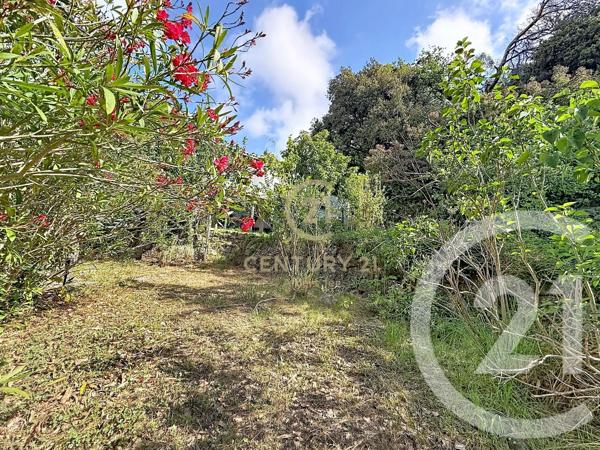 Maison à vendre  4 pièces - 105,05 m 2   BIOT  - 06