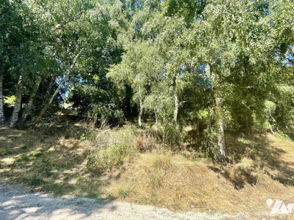 TERRAIN A BATIR A SAINT CHELY D'APCHER