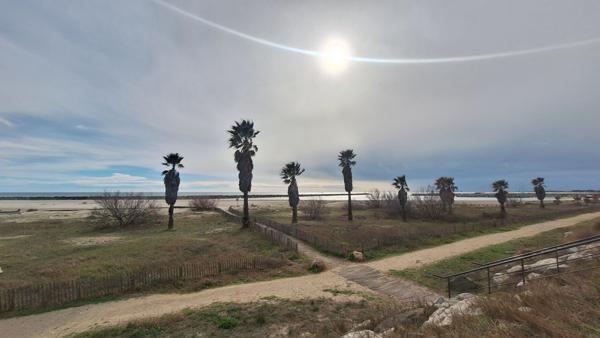 Appartement Sete 2 pièce(s) cabine 29.92 m2