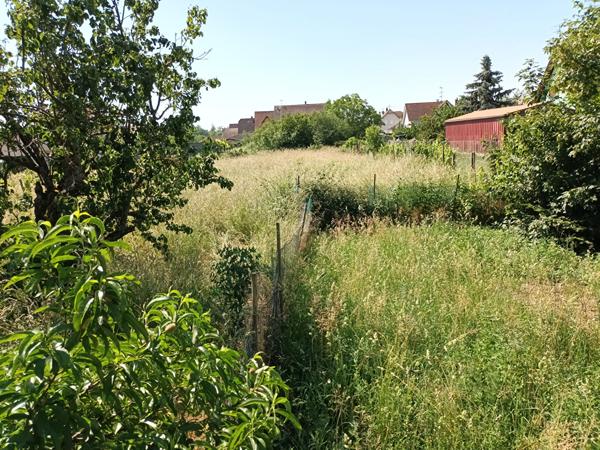 Maison avec dépendances sur 7 ares de terrain