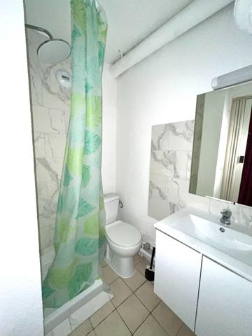 APPARTEMENT F1 MEUBLE METZ SAULCY