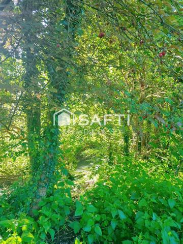 Propriété en pierre, à rénover + revenu locatif