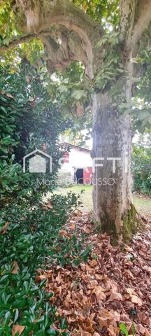 Propriété en pierre, à rénover + revenu locatif