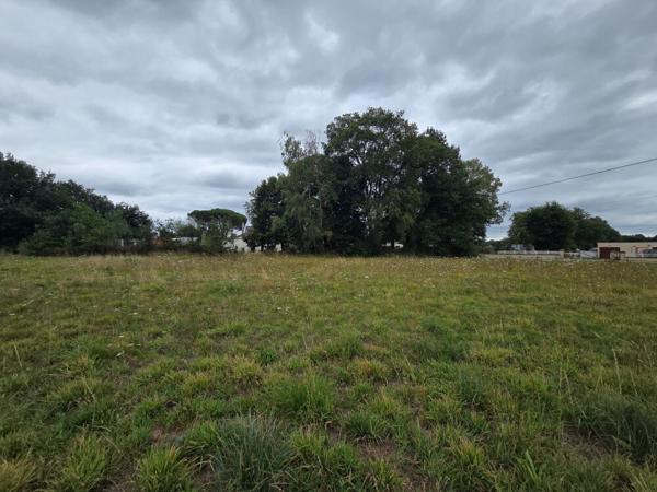 Terrain constructible de 995 m2