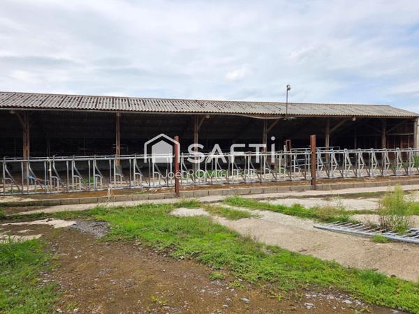 Maison avec dépendance et terrain