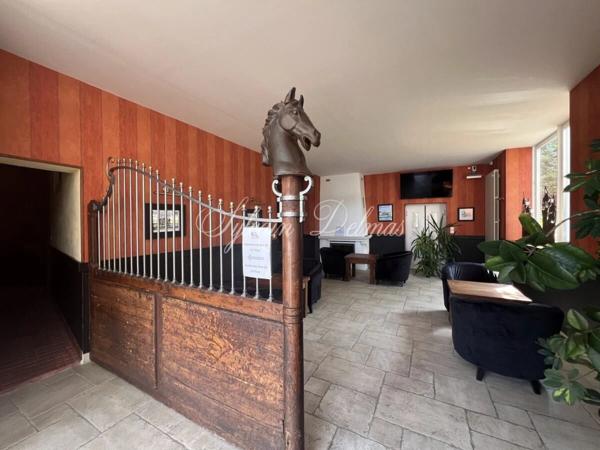 Propriete à vendre 32 pièces AMBOISE (37)