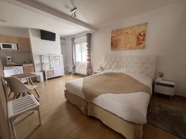 Propriete à vendre 32 pièces AMBOISE (37)