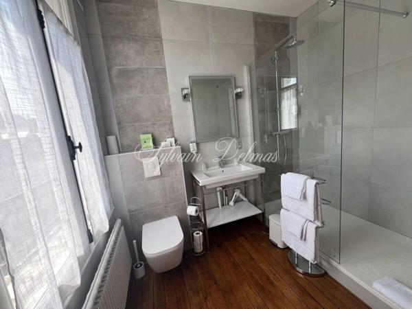 Propriete à vendre 32 pièces AMBOISE (37)