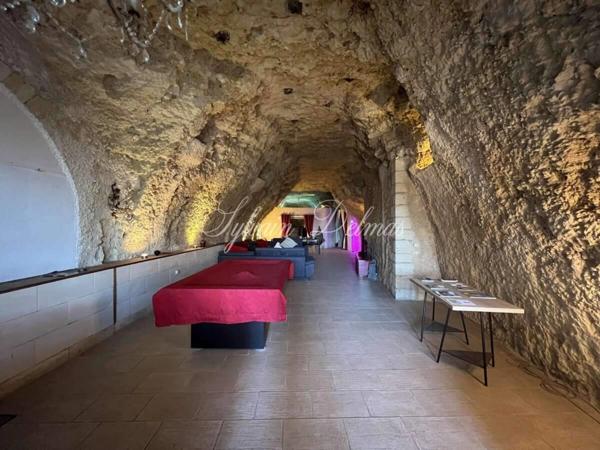 Propriete à vendre 14 pièces AMBOISE (37)