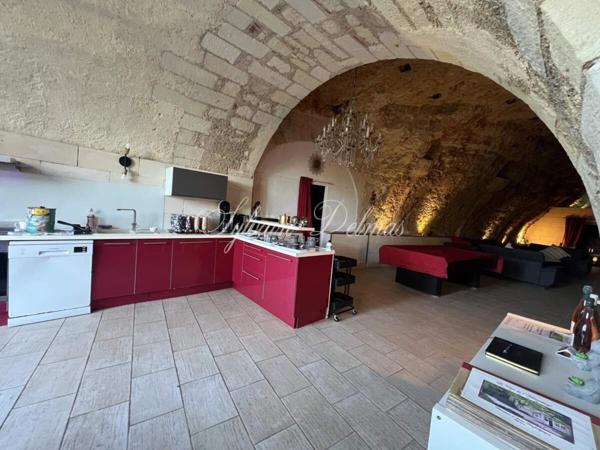 Propriete à vendre 14 pièces AMBOISE (37)