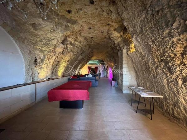 Propriete à vendre 14 pièces AMBOISE (37)