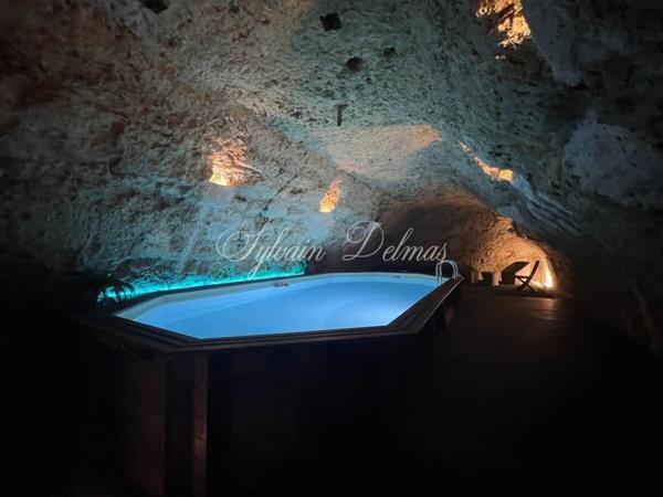 Propriete à vendre 14 pièces AMBOISE (37)