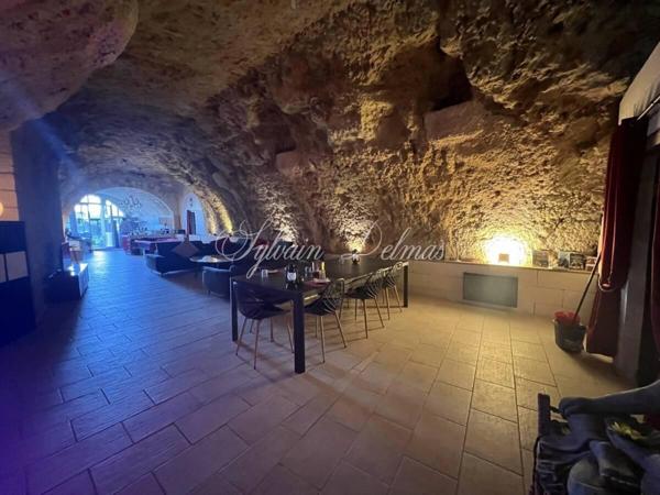 Propriete à vendre 14 pièces AMBOISE (37)