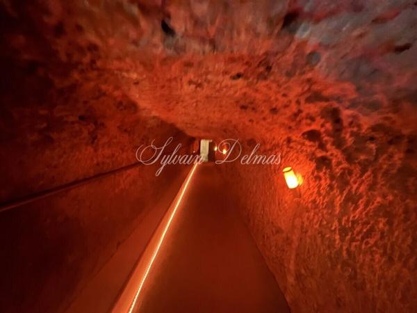 Propriete à vendre 14 pièces AMBOISE (37)