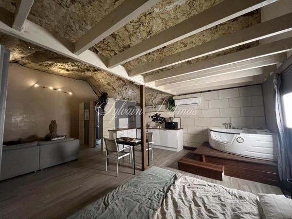 Propriete à vendre 14 pièces AMBOISE (37)