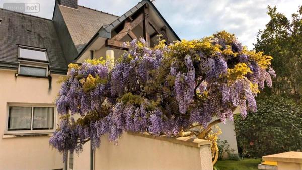 Maison à vendre à Rennes en Ille-et-Vilaine (35700), ref : 35021-2134