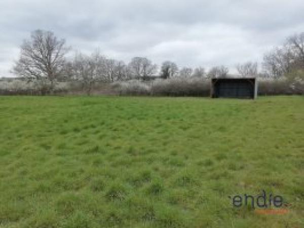 Terrain agricole 2210m² avec hangar bardé!!