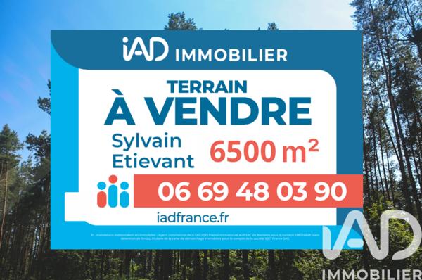 Terrain à vendre 6 500 m² Biscarrosse