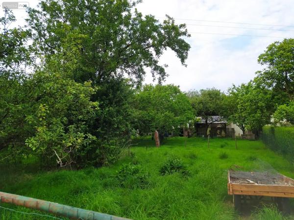 Achat - Maison Tinchebray-Bocage 61800 5 pièces 112 m 2 2500 m 2