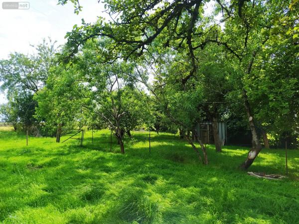 Achat - Maison Tinchebray-Bocage 61800 5 pièces 112 m 2 2500 m 2