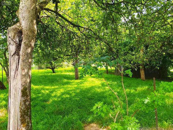Achat - Maison Tinchebray-Bocage 61800 5 pièces 112 m 2 2500 m 2