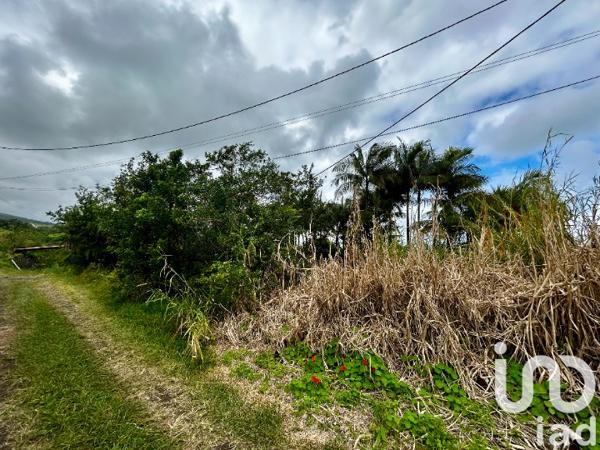 Terrain à vendre 546 m² Saint-Joseph