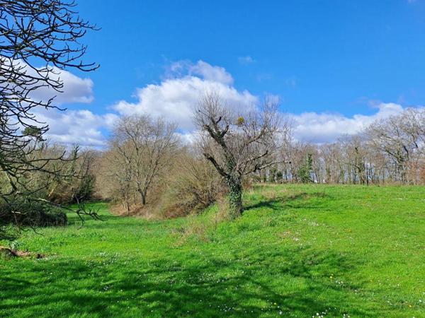 Maison et dépendance 12 MINUTES DE DAX