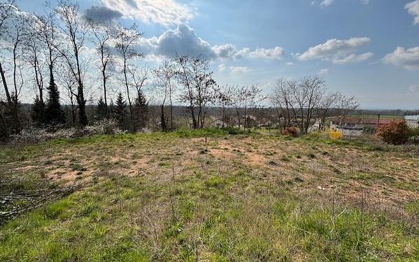 Terrain à vendre    Salt-en-Donzy