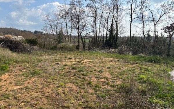 Terrain à vendre    Salt-en-Donzy