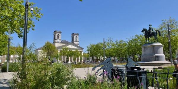 Local professionnel / commercial