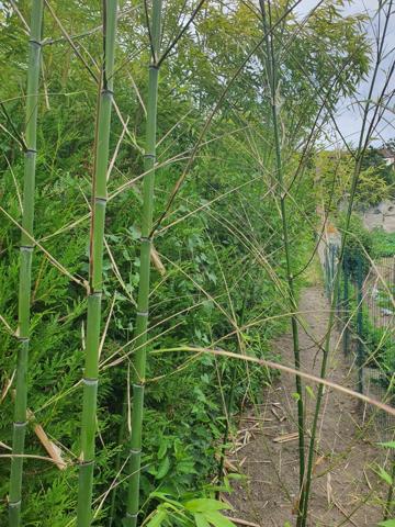 Maison avec beaucoup de potentiel