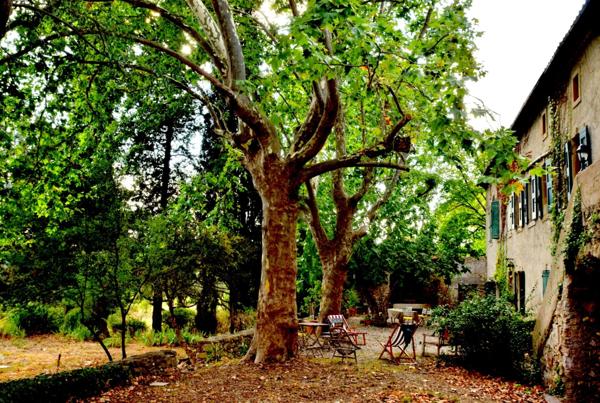 MAISON MAS AUTENTHIQUE sur plus de 5 hectares