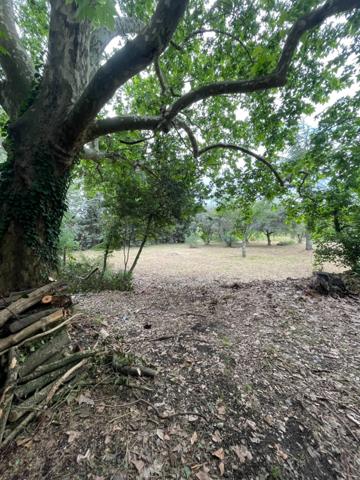 MAISON MAS AUTENTHIQUE sur plus de 5 hectares