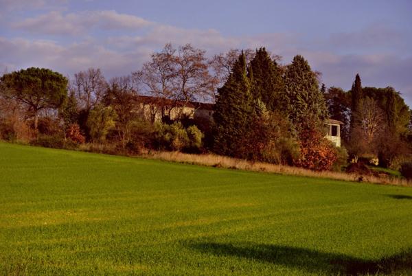 MAISON MAS AUTENTHIQUE sur plus de 5 hectares