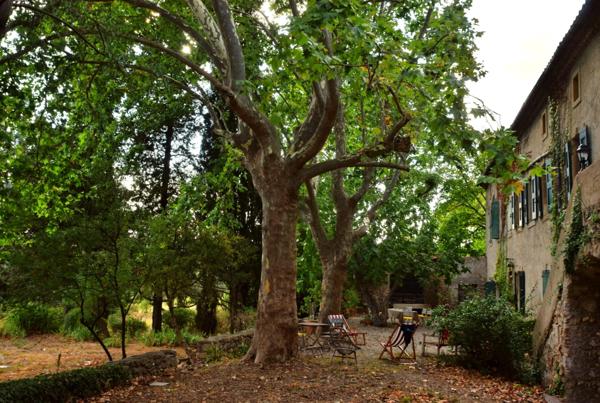 MAISON MAS AUTENTHIQUE sur plus de 5 hectares