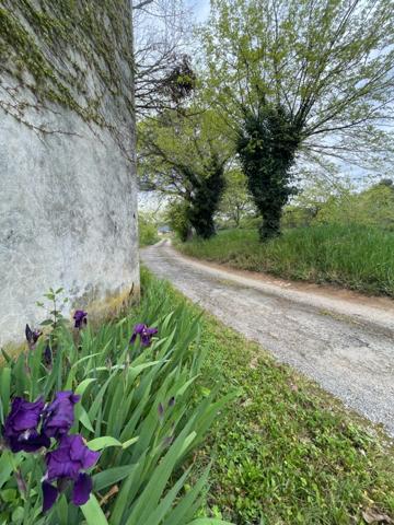 MAISON MAS AUTENTHIQUE sur plus de 5 hectares