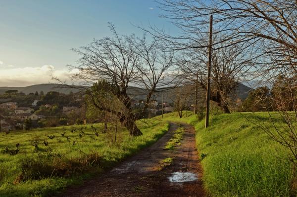 MAISON MAS AUTENTHIQUE sur plus de 5 hectares