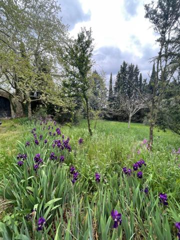 MAISON MAS AUTENTHIQUE sur plus de 5 hectares