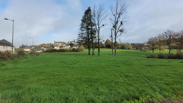 Terrain