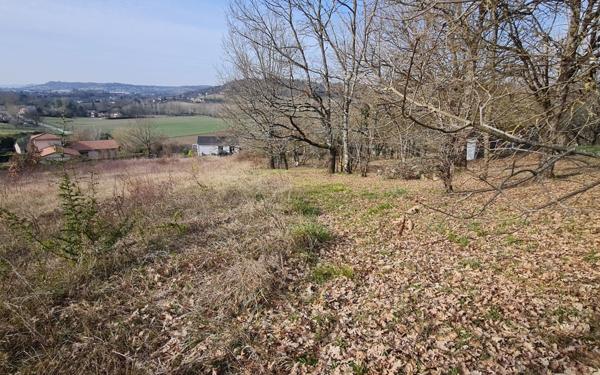 Terrain à vendre    Lafox