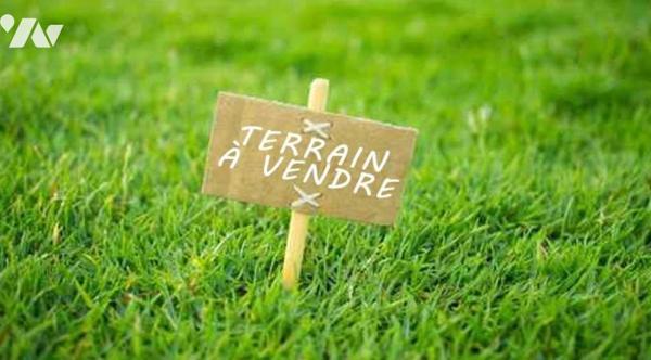 Parcelles de taillis et de terre sur la Commune de Machemont (60150)