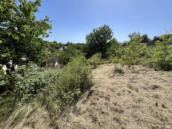 Terrain à vendre 20 000 € Meyssac 1207 m² DPE