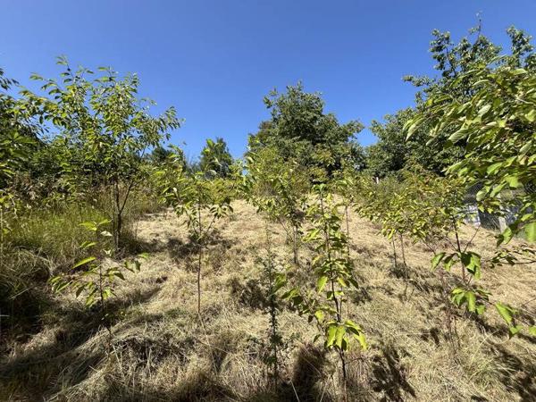 Terrain à vendre 20 000 € Meyssac 1207 m² DPE