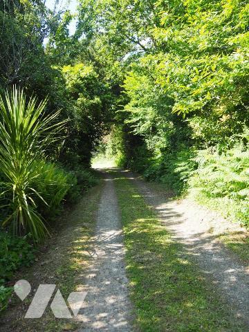 A PLONÉOUR-LANVERN grande maison en bois
