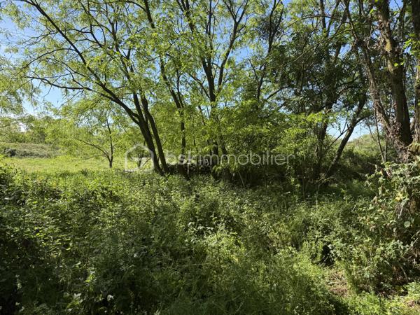 OFFRE ACCEPTÉE 

Le Mans – Grande parcelle non constructible de 10 138 m²

À découvrir au Mans, cette vaste parcelle cadastrée RX142 offrant une surface exceptionnelle de 10 138 m².

Actuellement laissée à l’état naturel, elle est recouverte d’herbe et de végétation spontanée. Une remise en état et un débroussaillage seront à prévoir afin de profiter de son potentiel.

Située à proximité des transports en commun ( T3 et bus )  et d’autres terrains de loisirs, de parcelles plus petites, ce terrain représente une belle opportunité pour différents projets. Il peut notamment convenir à un acquéreur souhaitant créer plusieurs parcelles destinées à des usages de loisirs ou de potager, avec la possibilité de les valoriser par une revente lot par lot.

Il peut également être parfait pour un usage privé, pour profiter d’un grand espace de nature aux portes de la ville.

À noter :
	•	Parcelle non raccordée à l’eau
	•	Parcelle non raccordée à l’électricité ( plusieurs terrains autours sont raccordés ) 
	•	Zone non constructible

Pour plus d’informations ou organiser une visite, merci de me contacter.
