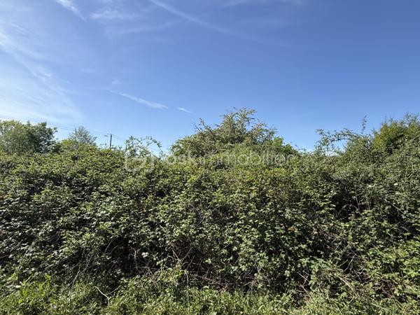 OFFRE ACCEPTÉE 

Le Mans – Grande parcelle non constructible de 10 138 m²

À découvrir au Mans, cette vaste parcelle cadastrée RX142 offrant une surface exceptionnelle de 10 138 m².

Actuellement laissée à l’état naturel, elle est recouverte d’herbe et de végétation spontanée. Une remise en état et un débroussaillage seront à prévoir afin de profiter de son potentiel.

Située à proximité des transports en commun ( T3 et bus )  et d’autres terrains de loisirs, de parcelles plus petites, ce terrain représente une belle opportunité pour différents projets. Il peut notamment convenir à un acquéreur souhaitant créer plusieurs parcelles destinées à des usages de loisirs ou de potager, avec la possibilité de les valoriser par une revente lot par lot.

Il peut également être parfait pour un usage privé, pour profiter d’un grand espace de nature aux portes de la ville.

À noter :
	•	Parcelle non raccordée à l’eau
	•	Parcelle non raccordée à l’électricité ( plusieurs terrains autours sont raccordés ) 
	•	Zone non constructible

Pour plus d’informations ou organiser une visite, merci de me contacter.