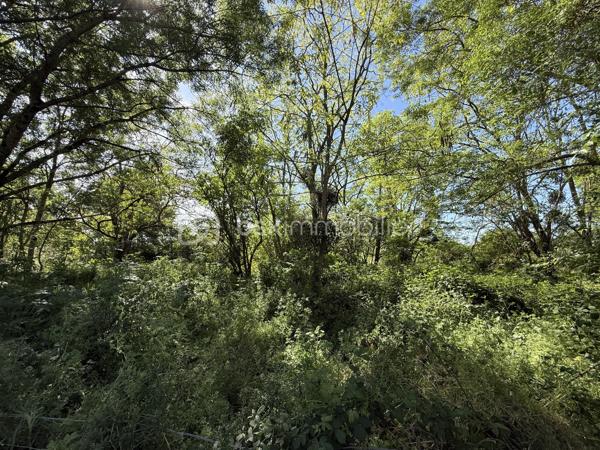 OFFRE ACCEPTÉE 

Le Mans – Grande parcelle non constructible de 10 138 m²

À découvrir au Mans, cette vaste parcelle cadastrée RX142 offrant une surface exceptionnelle de 10 138 m².

Actuellement laissée à l’état naturel, elle est recouverte d’herbe et de végétation spontanée. Une remise en état et un débroussaillage seront à prévoir afin de profiter de son potentiel.

Située à proximité des transports en commun ( T3 et bus )  et d’autres terrains de loisirs, de parcelles plus petites, ce terrain représente une belle opportunité pour différents projets. Il peut notamment convenir à un acquéreur souhaitant créer plusieurs parcelles destinées à des usages de loisirs ou de potager, avec la possibilité de les valoriser par une revente lot par lot.

Il peut également être parfait pour un usage privé, pour profiter d’un grand espace de nature aux portes de la ville.

À noter :
	•	Parcelle non raccordée à l’eau
	•	Parcelle non raccordée à l’électricité ( plusieurs terrains autours sont raccordés ) 
	•	Zone non constructible

Pour plus d’informations ou organiser une visite, merci de me contacter.
