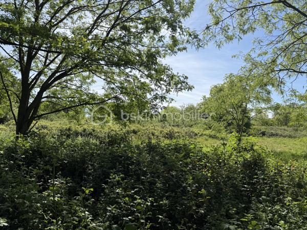 OFFRE ACCEPTÉE 

Le Mans – Grande parcelle non constructible de 10 138 m²

À découvrir au Mans, cette vaste parcelle cadastrée RX142 offrant une surface exceptionnelle de 10 138 m².

Actuellement laissée à l’état naturel, elle est recouverte d’herbe et de végétation spontanée. Une remise en état et un débroussaillage seront à prévoir afin de profiter de son potentiel.

Située à proximité des transports en commun ( T3 et bus )  et d’autres terrains de loisirs, de parcelles plus petites, ce terrain représente une belle opportunité pour différents projets. Il peut notamment convenir à un acquéreur souhaitant créer plusieurs parcelles destinées à des usages de loisirs ou de potager, avec la possibilité de les valoriser par une revente lot par lot.

Il peut également être parfait pour un usage privé, pour profiter d’un grand espace de nature aux portes de la ville.

À noter :
	•	Parcelle non raccordée à l’eau
	•	Parcelle non raccordée à l’électricité ( plusieurs terrains autours sont raccordés ) 
	•	Zone non constructible

Pour plus d’informations ou organiser une visite, merci de me contacter.