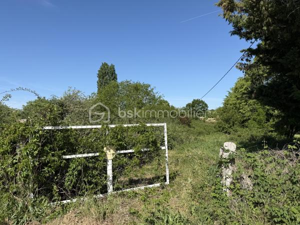 OFFRE ACCEPTÉE 

Le Mans – Grande parcelle non constructible de 10 138 m²

À découvrir au Mans, cette vaste parcelle cadastrée RX142 offrant une surface exceptionnelle de 10 138 m².

Actuellement laissée à l’état naturel, elle est recouverte d’herbe et de végétation spontanée. Une remise en état et un débroussaillage seront à prévoir afin de profiter de son potentiel.

Située à proximité des transports en commun ( T3 et bus )  et d’autres terrains de loisirs, de parcelles plus petites, ce terrain représente une belle opportunité pour différents projets. Il peut notamment convenir à un acquéreur souhaitant créer plusieurs parcelles destinées à des usages de loisirs ou de potager, avec la possibilité de les valoriser par une revente lot par lot.

Il peut également être parfait pour un usage privé, pour profiter d’un grand espace de nature aux portes de la ville.

À noter :
	•	Parcelle non raccordée à l’eau
	•	Parcelle non raccordée à l’électricité ( plusieurs terrains autours sont raccordés ) 
	•	Zone non constructible

Pour plus d’informations ou organiser une visite, merci de me contacter.